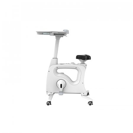 Activa Desk Bike